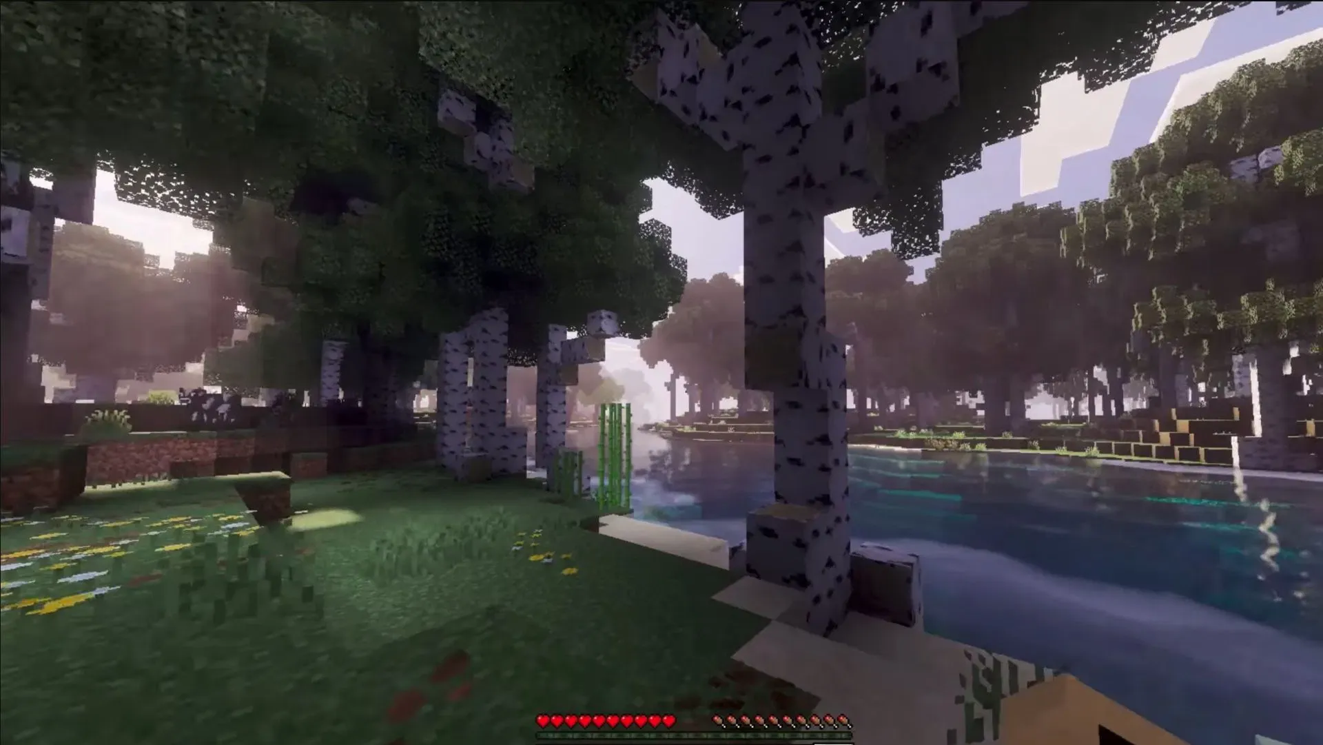 ادآن Better Trees