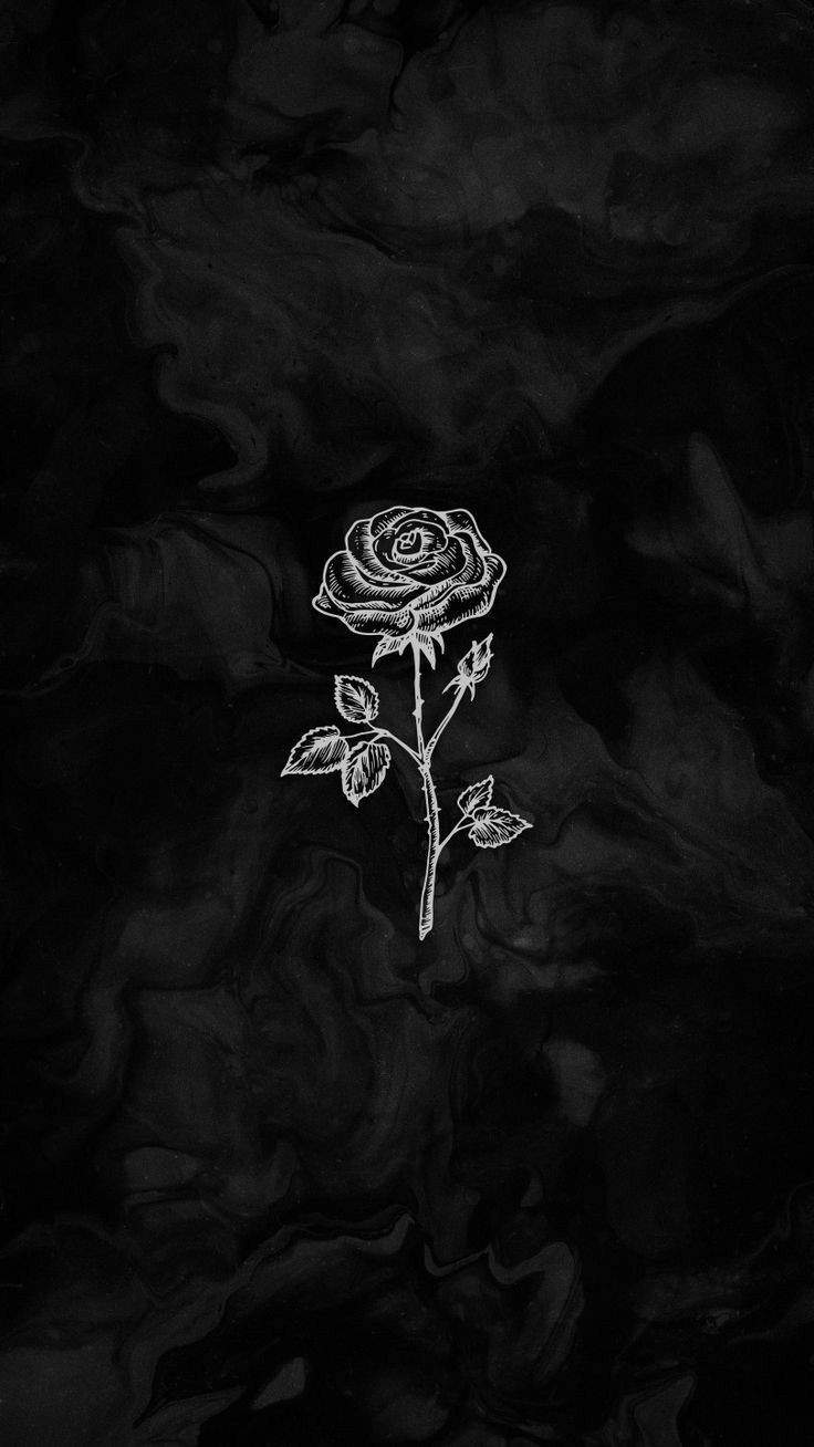 محمد پارسا عباس زادگان