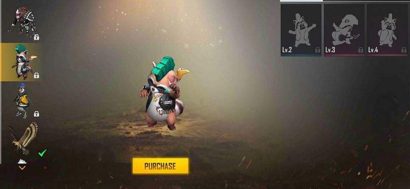 حیوانات بازی فری فایر راکی